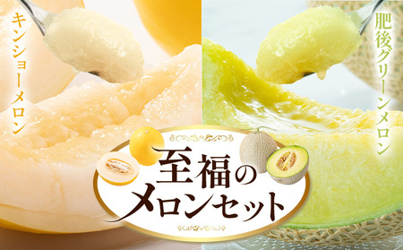 メロン 七城メロン Green&Gold セット 肥後グリーン 1玉 キンショー 2玉 〜 3 2種類 MOTOYAMA358FARM [2027年5月中旬-6月下旬頃出荷] 熊本県 菊池市 果物 フルーツ 九州産 国産 送料無料