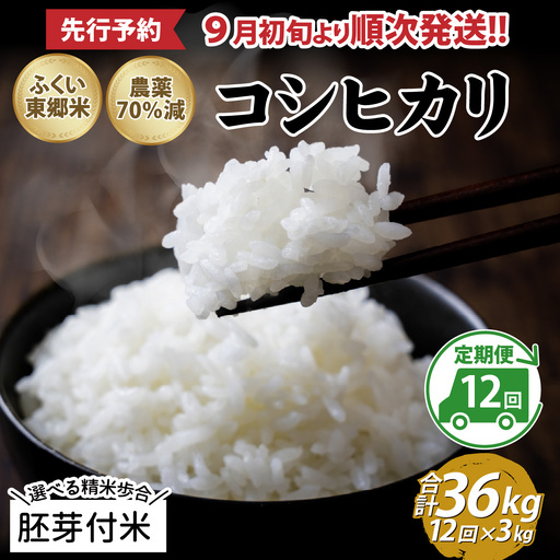 【先行予約】【胚芽付米】【定期便12ヶ月連続】令和8年産 新米 ふくい東郷米 特別栽培米 農薬70％減 コシヒカリ 3kg×12ヶ月 合計36kg[J-020024_03]