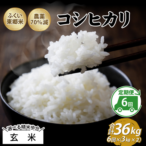 【玄米】【定期便6ヶ月連続】令和8年産 新米 ふくい東郷米 特別栽培米 農薬70％減 コシヒカリ 6kg(3kg×2袋)×6ヶ月 合計36kg[J-020023_02]