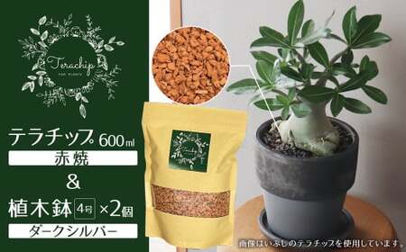 三河焼植木鉢ダークシルバー[テラチップ赤焼]プランター お手軽植物栽培セット 園芸 粘土 鉢 植物 土 シルバー 銀 赤