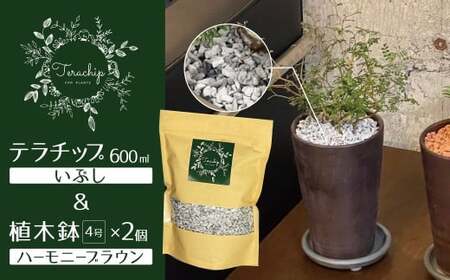 三河焼植木鉢ハーモニーブラウン[テラチップいぶし]プランター お手軽植物栽培セット 園芸 粘土 鉢 植物 土 シルバー 銀 茶