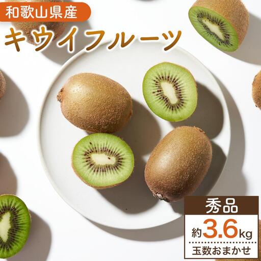 和歌山九度山町産 キウイフルーツ 約3.6kg (玉数おまかせ 24玉～36玉のいずれか 秀品)★ 2027年1月中旬頃より順次発送
