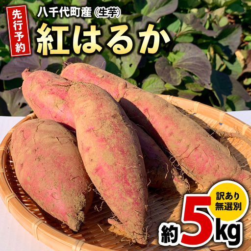 さつまいも 紅はるか 約5kg 訳あり サツマイモ