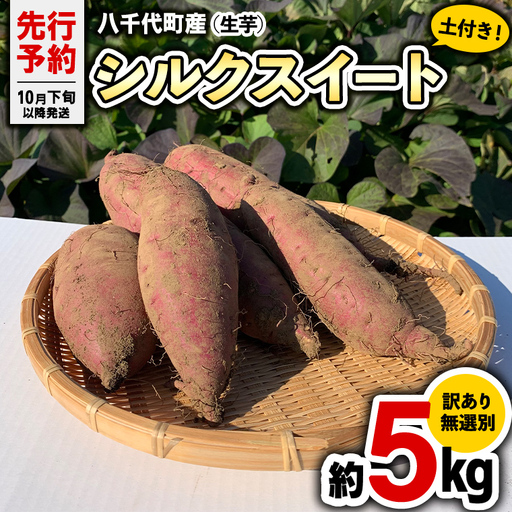 さつまいも シルクスイート 訳あり 約5kg サツマイモ