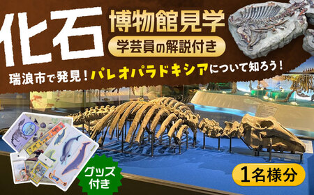 瑞浪市化石博物館 パレオパラドキシアコーナー 学芸員の解説付き見学ツアー(1名様) & グッズセット 瑞浪市 [AZCJ001]
