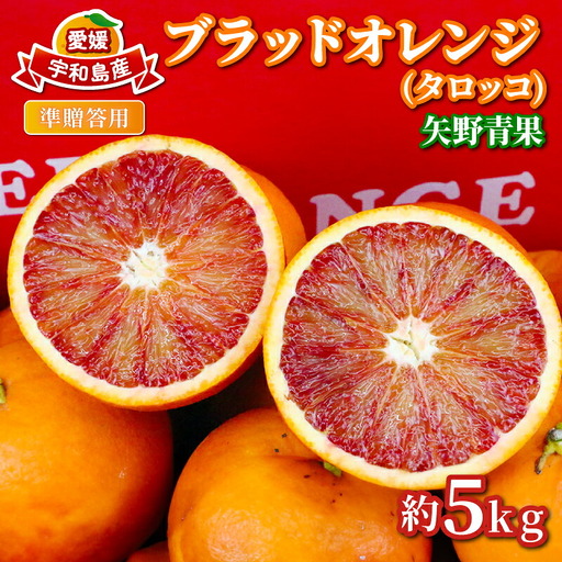 [オレンジ]ブラッドオレンジタロッコ5kg準贈答用矢野青果