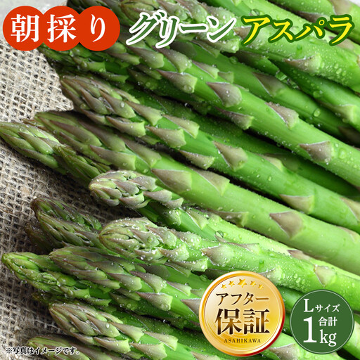 高評価★4.8 朝採り グリーンアスパラ L 1kg (2027年5月下旬発送開始) | アスパラ 北海道_03901