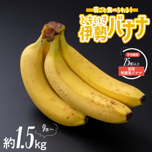 平均糖度25度以上 国産 無農薬 皮ごと食べられる「ともいき伊勢バナナ」 約1.5kg 9本～ バナナ ばなな 伊勢ばなな 伊勢バナナ ときいも伊勢バナナ 高糖度 栄養豊富 皮ごと 果物 くだもの 多気町 三重 無農薬 国産 三重県 多気町 TF-01