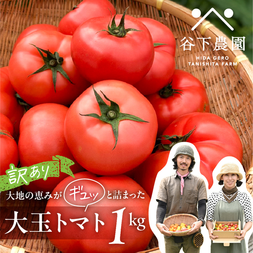 訳アリ 大玉トマト 麗月 1kg≪谷下農園 有機JAS認証農園の完熟トマト≫ トマト [61-17]