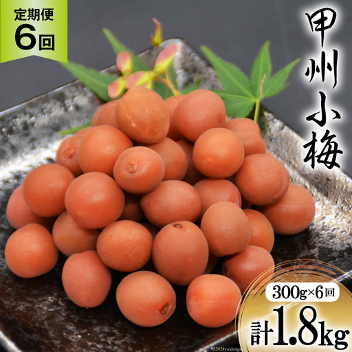 【6回 定期便 毎月】【カリカリ】甲州小梅 300g  梅干し 国産 おやつ