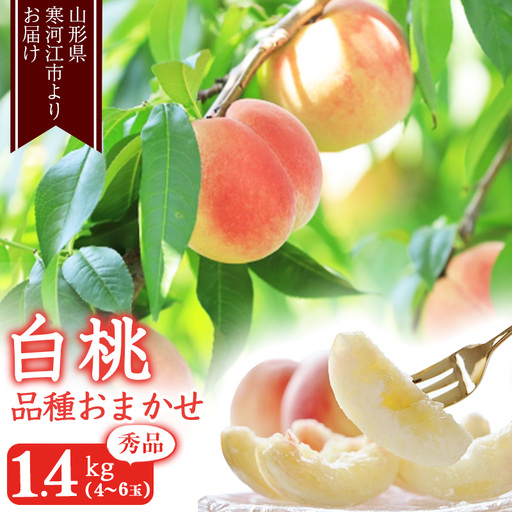 [先行予約]令和8年産 山形の白桃 秀品 1.4kg(4 - 6玉) 品種おまかせ 2026年産 山形県産[2026年8月上旬頃から9月下旬頃発送予定]※ 配送不可 沖縄・離島