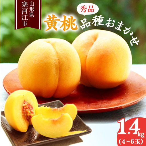 《先行予約》令和8年産 山形の黄桃 秀品 1.4kg（4 - 6玉） 品種おまかせ 2026年産 山形県産 【2026年8月中旬頃から9月下旬頃発送予定】※ 配送不可 沖縄・離島　011-B-MM071