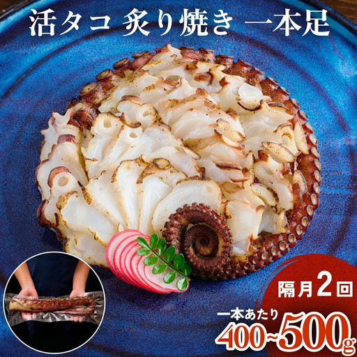活タコ 炙り焼き 一本足 定期便 隔月 2回 タコ たこ 直火焼き おかず おつまみ 蛸 刺身