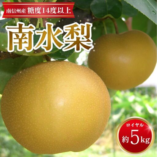 [南信州産]南水梨約5kg 12〜14玉入り 糖度14度以上