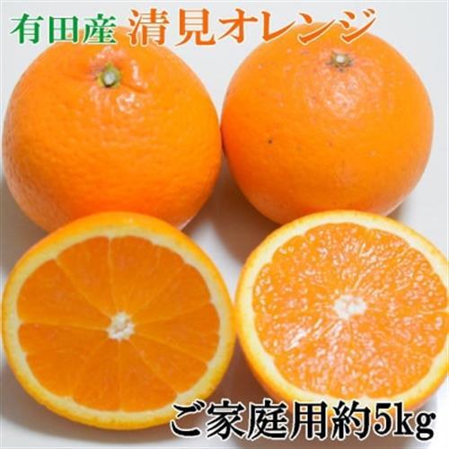【濃厚】有田産清見オレンジ約5kg(M～3Lサイズおまかせ)ご家庭用(日高町)【1504260】