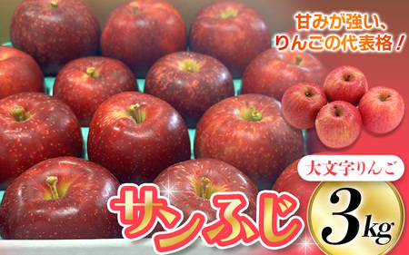 [先行予約][12月上旬より順次発送]大文字りんご園 サンふじ 約3kg (7〜10玉) [dma513-sf-3C]