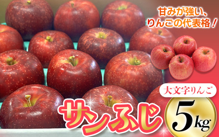 人気No.1![2027年1月以降順次発送]大文字りんご園 サンふじ 小玉サイズ 約5kg (18~20玉) サンフジ[dma001]