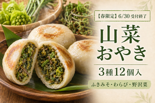 [6/30受付終了]信州山菜おやき 3種12個|ふきみそ・わらび・野沢菜