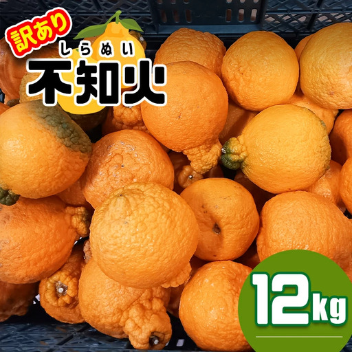不知火 ≪訳あり≫ 12kg｜味采市場