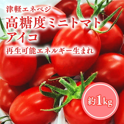 高糖度 ミニトマト [アイコ] 約1kg [hi-0016-003]