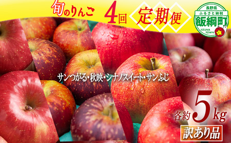 旬のりんご [ 定期便 ] 訳あり 4.5kg〜5kg × 4回 松橋りんご園 沖縄県への配送不可 2026年9月上旬頃から2026年12月下旬頃まで順次発送予定 令和8年度収穫分 フルーツ リンゴ 信州 長野県 飯綱町 [1840]