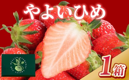 いちご やよいひめ 約400g いちご [2027年1月~4月発送分]