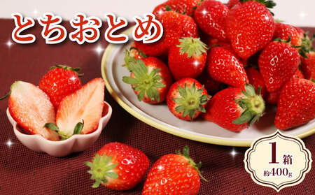 いちご とちおとめ 約400g いちご [2027年1月~4月発送分]