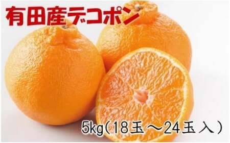 【2027年先行予約】【お味濃厚】紀州有田産 の デコポン 約5kg (18玉～24玉入り・青秀以上)_ZD7001