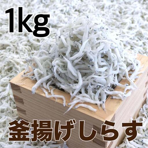 釜揚げしらす1kg ［DN2］