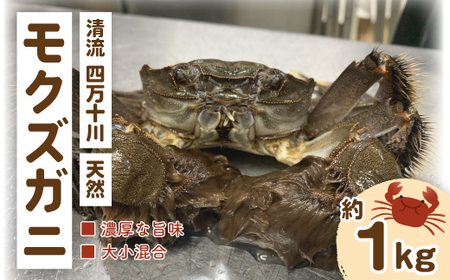 清流 四万十川 天然 モクズガニ 約1kg 濃厚な旨み 大小混合 冷凍 クール 国産 鮮度 魚介類 かに カニ 蟹 つがに ツガニ もくずがに かに汁 だし カニみそ 川ガニ 高知県 四万十市 しまんと 自然 瞬間冷凍 予約 お取り寄せ 25-948