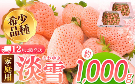 【12月以降発送】白いちご 淡雪 ご家庭用 約1000g ｜ 西谷農園
