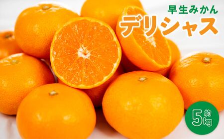 先行予約 早生みかん デリシャス 約5kg [2026年11月上旬〜11月下旬頃発送予定]