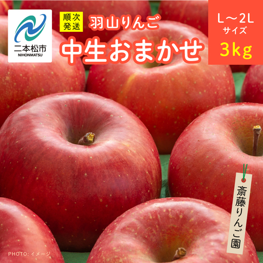 りんご《2026年10月以降順次発送》羽山のりんご 中生おまかせL～2Lサイズ3kg りんご リンゴ 果物 フルーツ【斎藤りんご園】