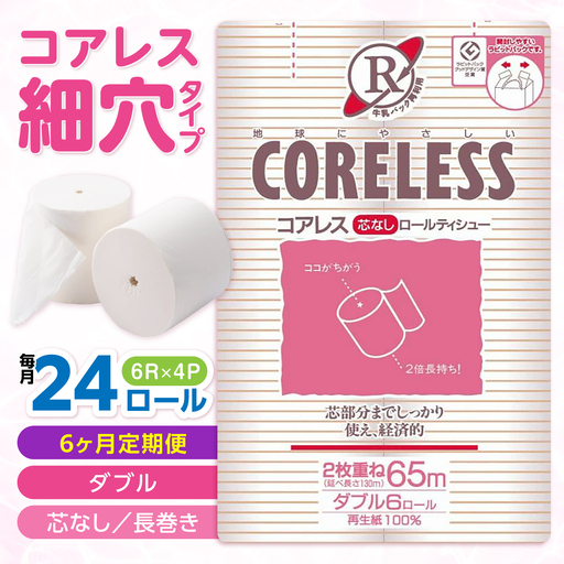 【全6回定期便】【細穴タイプ】 トイレットペーパー ダブル 24ロール 長巻き 65m (6ロール×4パック) 宅配 コアレス [VAA064]