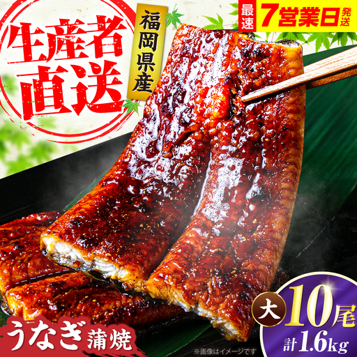 うなぎ 蒲焼大10尾 うなぎ VAD026