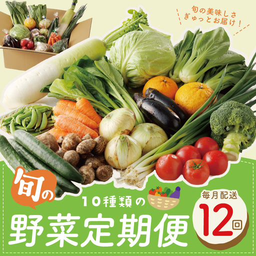 10種類の新鮮野菜 定期便 全12回 毎月配送コース