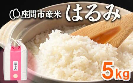 座間市産米 はるみ 5kg | 令和8年産 米 お米 こめ おこめ 白飯 白米 ご飯 ごはん 農家直送 神奈川県 座間市 ※離島への配送不可※2026年10月〜発送