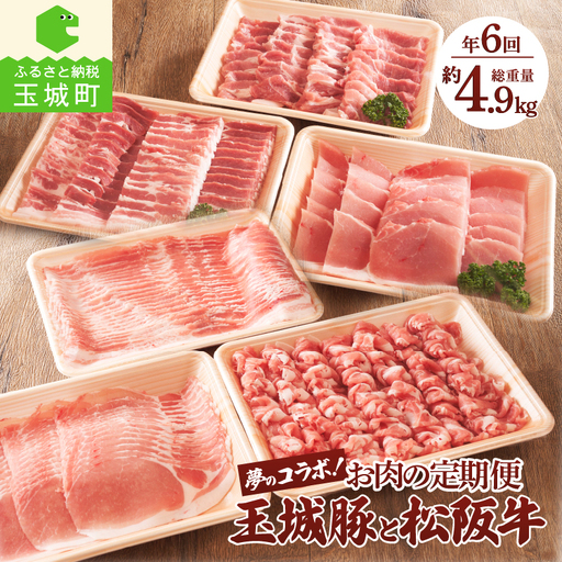お肉の定期便 玉城豚と松阪肉の夢のコラボ！[定期便 6回 松阪牛 玉城豚]