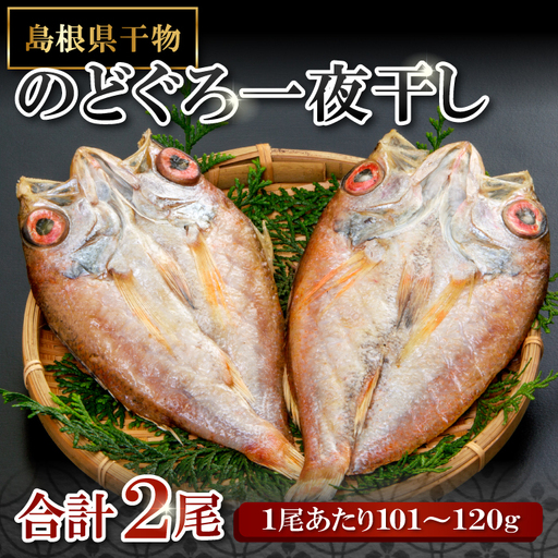 旨みを引き出した のどぐろ一夜干し 2尾[のどぐろ一夜干し 1尾あたり101〜120g のどぐろ干物 のどぐろ ノドグロ のど黒 あかむつ アカムツ 干物 個包装 小分け 真空パック 冷凍 父の日 母の日]