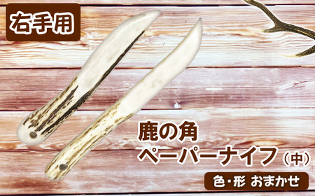 鹿の角 ペーパーナイフ 中 1個 右手用 【竜鹿】／ 鹿角 鹿 しか シカ グッズ 本物 加工 加工品 工芸 工芸品 クラフト ナイフ 右利き 日用品 雑貨 不揃い ふぞろい １個 人気 事務用品 事務 オフィス オフィス用品 文具 文房具 おすすめ