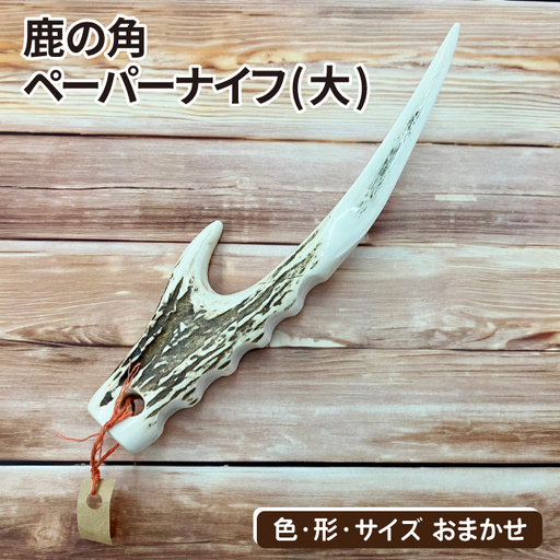 鹿の角 ペーパーナイフ 大 1個 [竜鹿]
