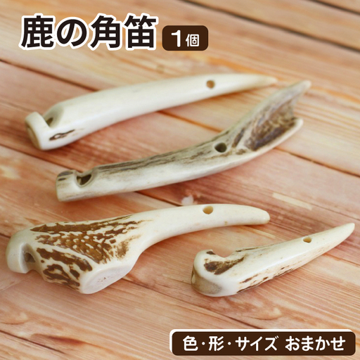 鹿の角 角笛 1個 [竜鹿]