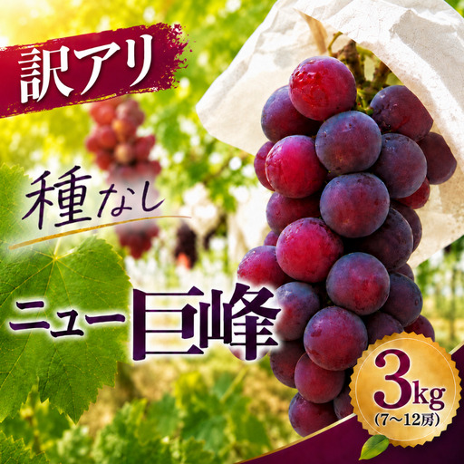 【先行予約】種なし 巨峰ブドウ (訳あり) 約3kg (7～12房)  | ぶどう 果物 フルーツ 産地直送 甘い 大分県産 九州産 中津市