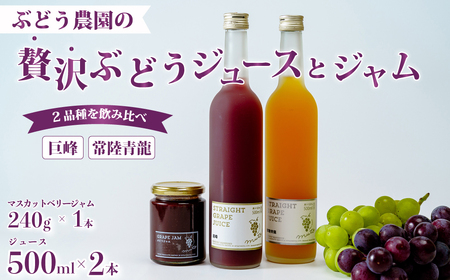 ぶどうジュース2本 (巨峰･常陸青龍)&旬ジャムセット ジュース ジャム