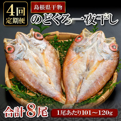 のどぐろ一夜干し 2尾 【4回定期便】【1尾あたり101～120g 2尾 のどぐろ干物 8枚 のどぐろ ノドグロ あかむつ アカムツ 新鮮 干物 一夜干し 個包装 小分け 真空パック 冷凍 贈答 父の日 母の日】