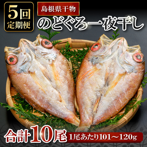 のどぐろ一夜干し 2尾 [5回定期便][のどぐろ 干物 1尾あたり101〜120g 2尾 のどぐろ干物 10枚 ノドグロ あかむつ アカムツ 新鮮 一夜干し 個包装 小分け 真空パック 冷凍 贈答 父の日 母の日]