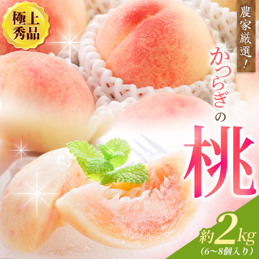 [先行予約][厳選]あふれる果汁で口いっぱい! 和歌山県産 桃 約2kg(6個~8個) [2027年6月20日頃〜順次発送予定](お届け日指定不可)/ 和歌山 桃 モモ フルーツ もも 白桃 果物 くだもの[kgr001B]