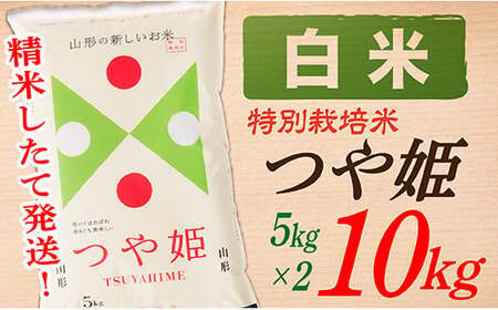 【令和8年産】【白米】山形県産つや姫10kg(5kg×2袋)