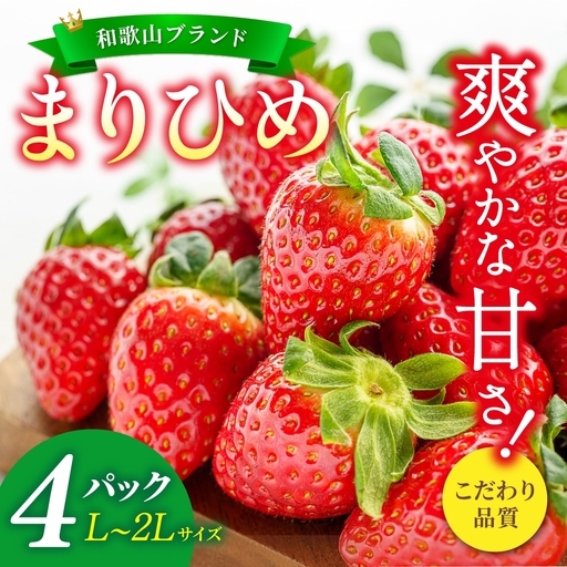 【先行予約】まりひめ いちご 12粒～15粒入り×4パック（1kg）2027年1月中旬頃～2027年3月下旬頃に順次発送予定（お届け日指定不可）/ いちご 苺 まりひめ 和歌山 フルーツ 果物 くだもの【kgr008B】