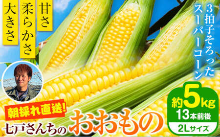 朝採れ とうもろこし おおもの 約5kg (13本入 2L) 七戸宏大 岩手県九戸村